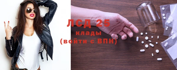 шишки Кодинск