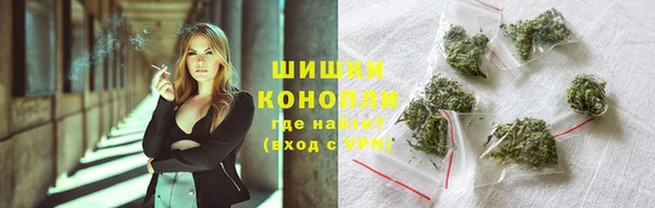 шишки Кодинск