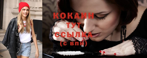 шишки Кодинск