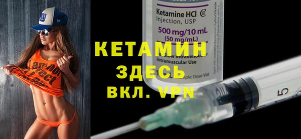 шишки Кодинск