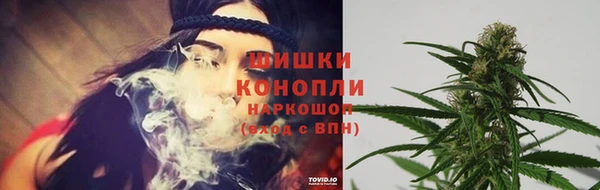 СК Козельск