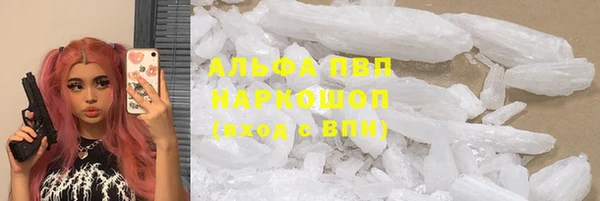 шишки Кодинск