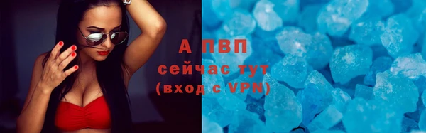 СК Козельск