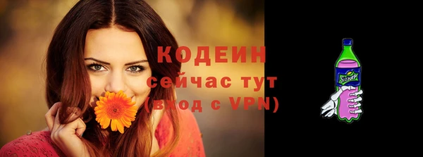 шишки Кодинск
