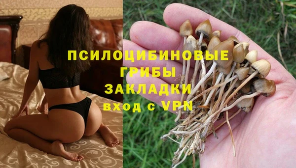 экстази Киреевск