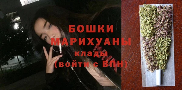 шишки Кодинск