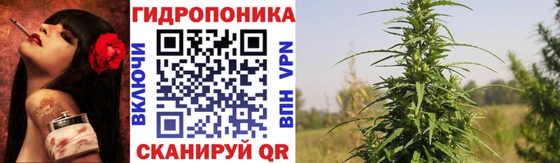 МАРИХУАНА конопля  Купить где  Горбатов 
